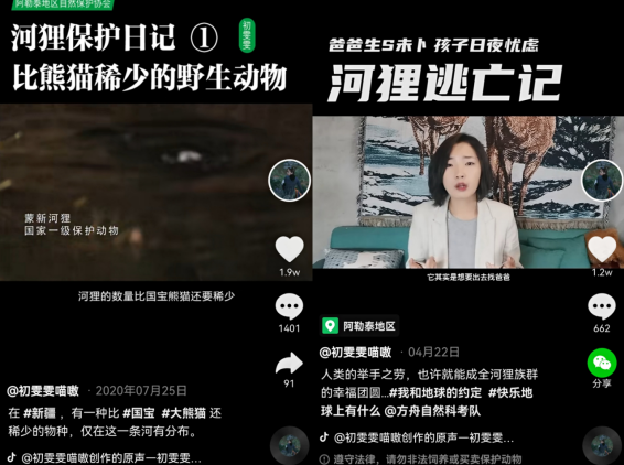 90后女博士在抖音科普野生動(dòng)物保護(hù)知識(shí)，如今站上聯(lián)合國(guó)演講臺(tái)！